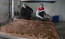 Erzincan’da Üretilen Et Türkiye’ye Buradan Dağılıyor! Üzümlü’deki Tesis Dikkat Çekiyor