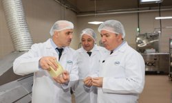 Erzincan Üretiyor, Bölgeye Gönderiyor...