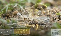 Yağmur ve su sesi bitki için hazineymiş