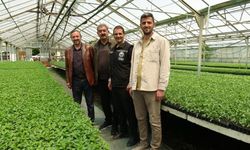 Erzincan’da Üç Aylık Emek Meyvesini Verdi: Bahçe Kültürleri Bölgenin Umudu Oldu!