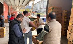 Çiftçilere 374 Bin Adet Fide Dağıtıldı