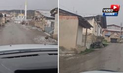 Erzincan’da Dolu Yağışı Kırsalı Beyaza Bürüdü