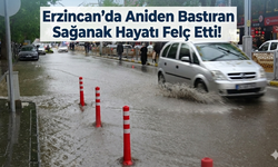 Erzincan’da Gökyüzü Delindi! Sağanak Şehri Esir Aldı, Kargalar Bile Ağaçlara Sığındı