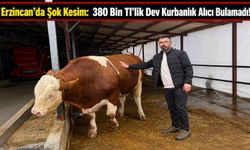 Erzincan’da Şok Kesim: 380 Bin Tl’lik Dev Kurbanlık Alıcı Bulamadı!