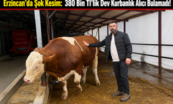 Erzincan’da Şok Kesim: 380 Bin Tl’lik Dev Kurbanlık Alıcı Bulamadı!