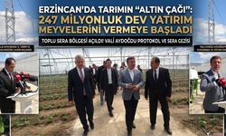 Erzincan’da Tarımın "Altın Çağı": 247 Milyonluk Dev Yatırım Meyvelerini Vermeye Başladı!