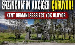 Erzincan’ın Akciğeri Çürüyor! Kent Ormanı Sessizce Yok Oluyor