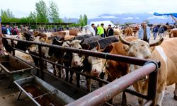 Erzincan’da Kurban Keseceklere Şok Uyarı: O Detay Yoksa İbadetiniz Boşa Gidebilir!