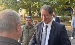 Orman Sadece Ağaç Değil, Geleceğimiz Yanıyor Kurumlara Acil Çağrı
