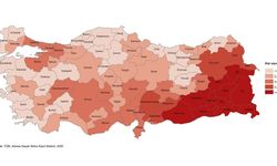 Erzincan'da aileler küçülüyor, devlet harekete geçti