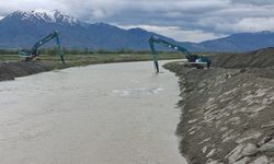 Yeşil Karıncalardan Erzincan'da Hummalı Çalışma...