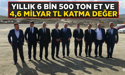 Bin 370 Kişiye Ekmek Kapısı: Erzincan Besi OSB Bölgeye Can Suyu Olacak!