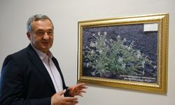 EBYÜ Prof.Dr.Kandemir :”Erzincanlı Bitkiler Turizme Kazandırılabilir”