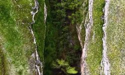 Erzincan'da Ayazma ve Tanasur Vadisi Turizme Kazandırılıyor