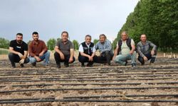 Erzincan’da İlk Kez Deneniyor! Çiftçiler İçin Yeni Kazanç Kapısı Olabilir