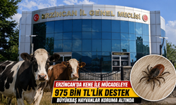 Erzincan’da Kene Alarmına Karşı 975 Bin Liralık Hamle