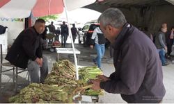 Munzur’un Zirvesinden Erzincan Tezgâhlarına: Şeker ve Tansiyon Hastalarının Gizli İlacı!