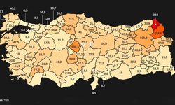 TÜİK Verileri Ortaya Koydu: Erzincan Hayvancılıkta Zirveye Oynuyor