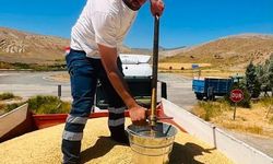 Erzincan'da Hasat Mesaisi Başladı!