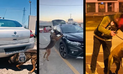 Erzincan Dahil 76 İlde Operasyon: Binlerce Şüpheli Yakalandı!