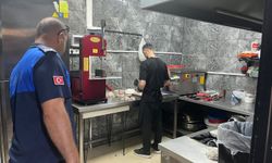 Erzincan'da 140 Restorana Zabıta Denetimi! Son Kullanma Tarihi Geçen Ürünler İmha Edildi
