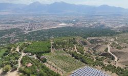 Erzincan'da 1650 Rakımda Hasat Başladı...