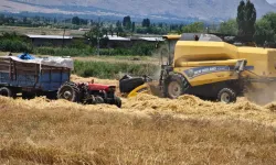 Erzincan'da Hasat Heyecanı Başladı! Tercan'dan Biçerdöver Ücretlerine Yön Veren Karar