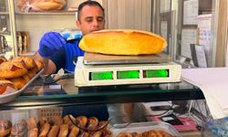 Erzincan'da 103 işletme mercek altında