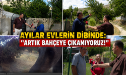 Erzincan Başpınar Mahallesi'nde Ayı Tehlikesi: " Ya Biz Bu Köyü Terk Edeceğiz Ya Da Bu Sorun Bitecek!"