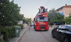 Erzincan'da Çatıda Mahsur Kalan Kedi İçin Zamanla Yarış!