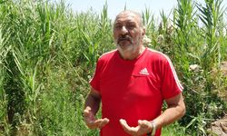Erzincan’da Çiftçiler: "Zahmet Etmişler Beyefendiler"