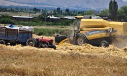 Erzincan'da Döver Biçerler Tarlaya İndi!