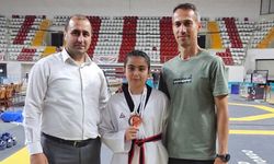 Erzincanlı Minik Tekvandocu Bölge Üçüncüsü Oldu