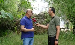 Girlevik Şelalesi’ne Neden Bir Şey Yapılmıyor Sorusunun Perde Arkası: Mülk Sahibi Konuştu…