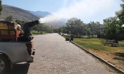 Erzincan Belediyesi ekiplerinden yaz sezonu ilaçlama mesaisi