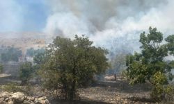 Son Dakika... Kemaliye'de Çıkan Yangına 3 İlin İtfaiye Ekipleri Müdahale Etti...