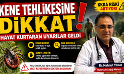 Kene Tehlikesine Dikkat! Hayat Kurtaran Uyarılar Geldi