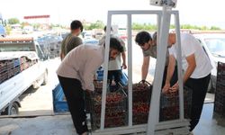 Erzincan Kirazı Dalından Dünyaya Uzanıyor...