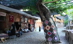 ‘Orda Bir Köy Var Uzakta’ Şiiri Erzincan’ın Hangi Köye Yazılmış. İşte O köy