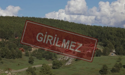 Erzincan’da Ormanlara Giriş Yasağı Başlıyor: İşte Alınan Tedbirler