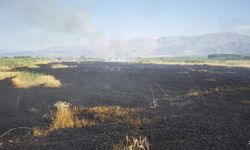 Erzincan'da  Korkutan Tarla Yangını! Buğday Ekinleri Alevlere Teslim Oldu