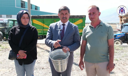 Erzincan'da hububat teslimatı başladı..