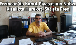 Erzincan'da Konut Piyasasının Nabzı: Kiralıkta Hareket, Satışta Fren