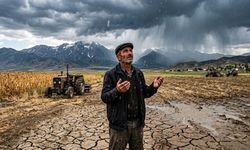 ‘Süper El Nino’ Tehlikesi Küresel Ekonomiyi Ve Türkiye’yi Kıskacına Alıyor