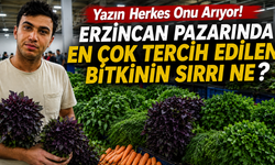 Yazın Herkes Onu Arıyor! Erzincan Pazarında En Çok Tercih Edilen Bitkinin Sırrı Ne?