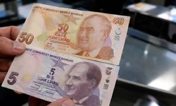 Yeni 5 ve 50 TL'ler piyasada dolaşıma girdi