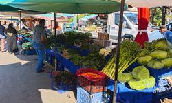 Erzincan Salı Pazarı’nda Güncel Ürün Fiyatları