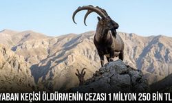 Erzincan’da Avlamak Yasak! Öldürmenin Cezası 1 Milyon 250 Bin TL