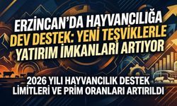 Erzincan’da Hayvancılığa Büyük Destek: Yeni Teşviklerle Yatırım İmkanları Artıyor