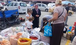 Erzincan’da Kuşburnu Hareketliliği Başladı! Kilosu Ne Kadar?